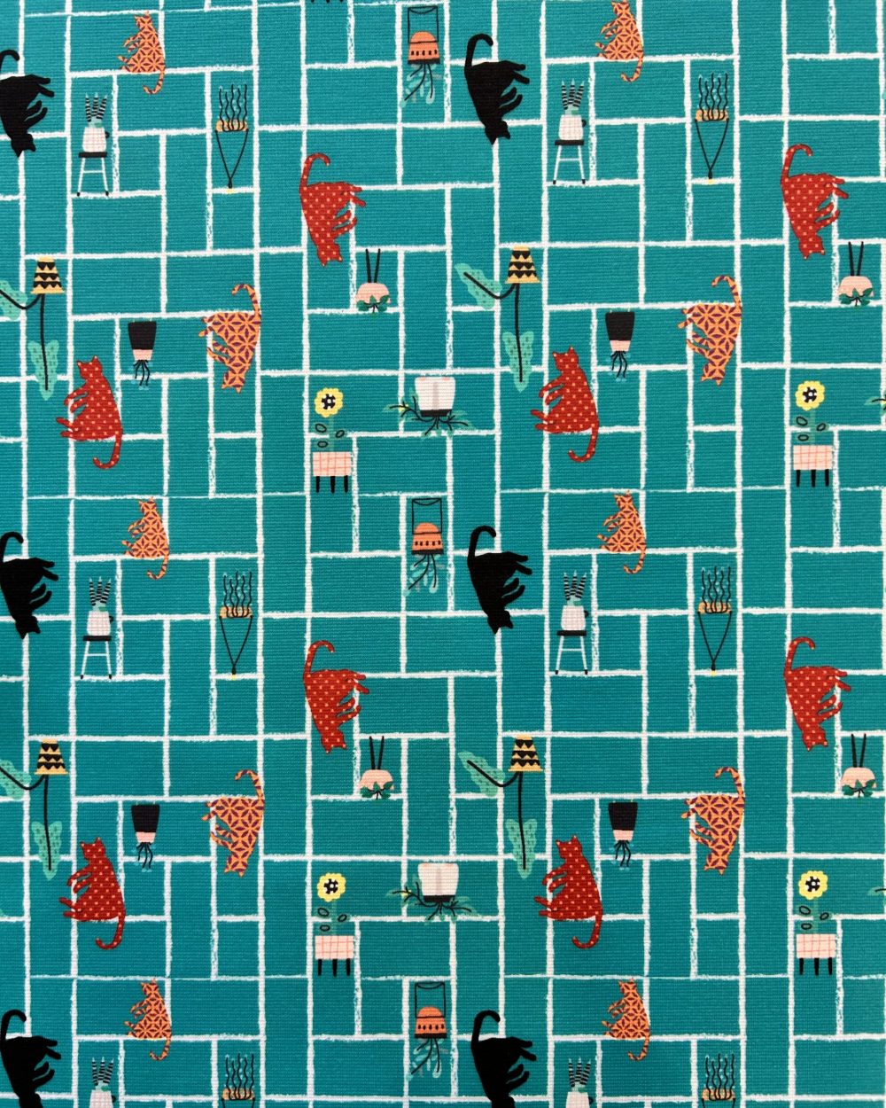 Punto Roma - Print Blue Cats